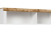sfw156 holten