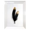 Slika THK-070556